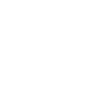 retailer and ecommerce