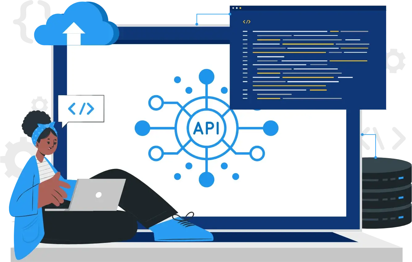 Software api development