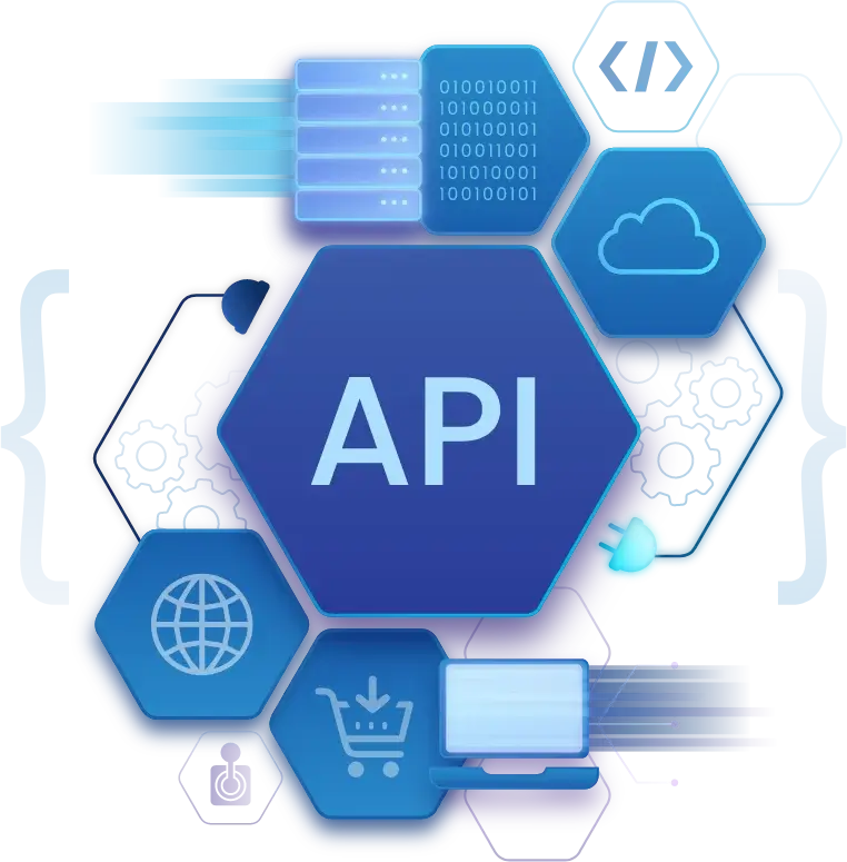 Software api integration